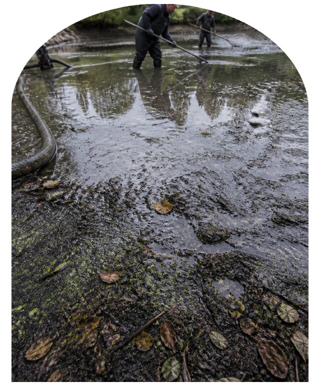 Очистка пруда в Барнауле от ила мусора и водорослей с вывозом